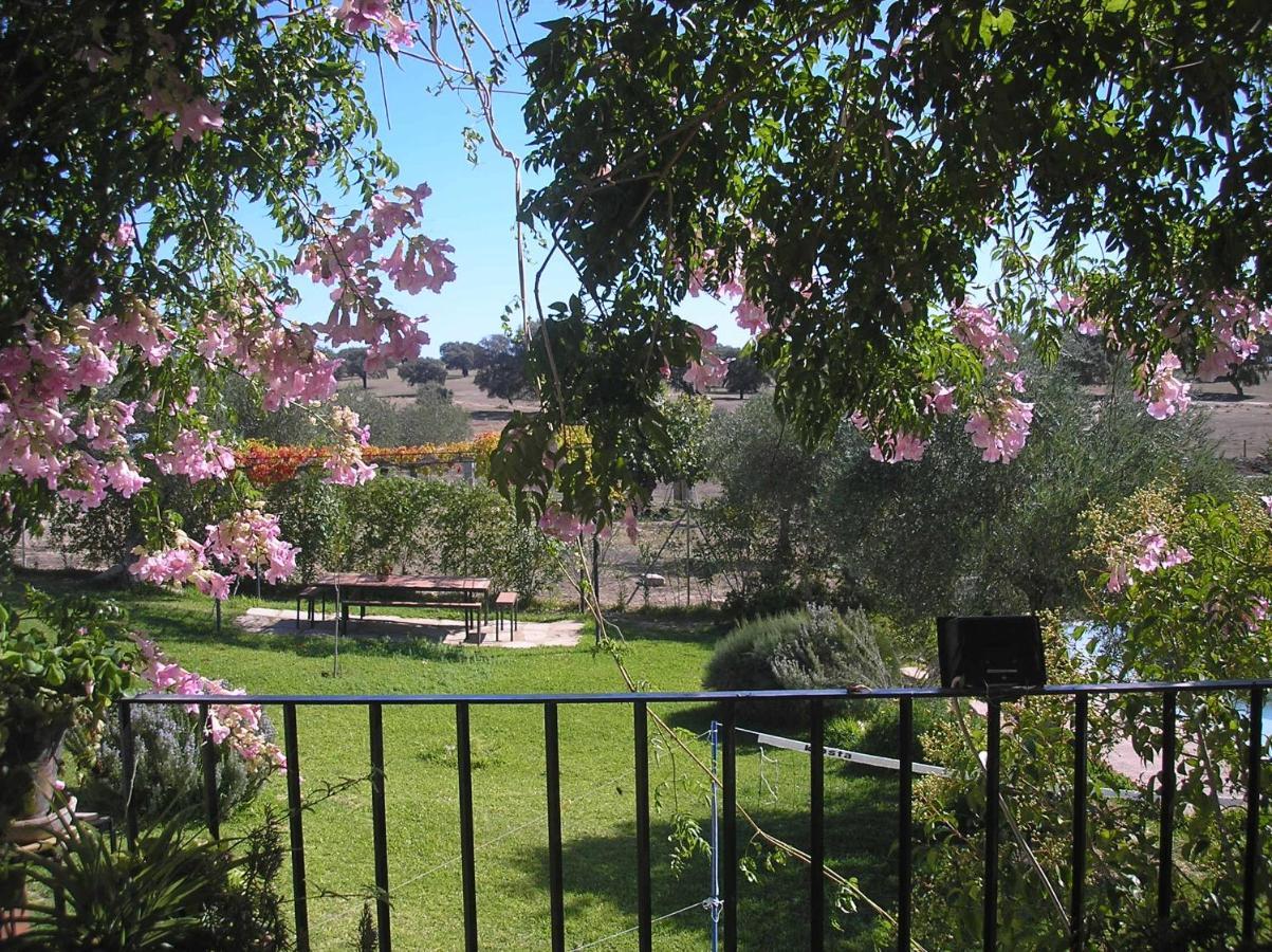 Casa Rural "El Carrasca" El Carrascalejo Exterior foto